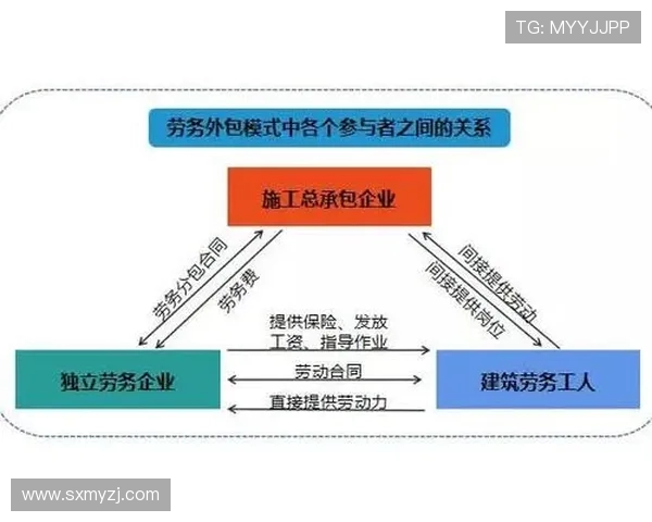 上海攀岩队运营分析：成功经验与不足之处的深度探讨